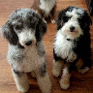 Meet your Posher, Stacey